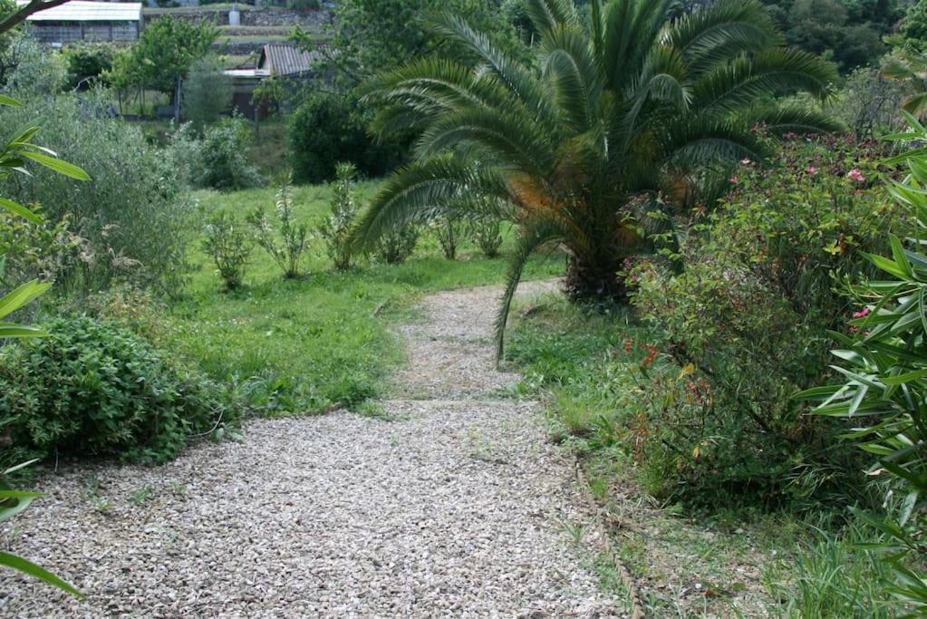 Villa Constance 3 Antibes - Spacieux Logement En Dernier Etage Εξωτερικό φωτογραφία